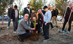 3 Aralık Dünya Engelliler Günü: Batman Üniversitesi Özel Bireylerle Farkındalık Yaratıldı