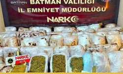 Narkotik Köpeği Mailo Uyardı: Batman'dan Batı'ya Giden Tırda Valiz Dolusu "Yük" Ele Geçti