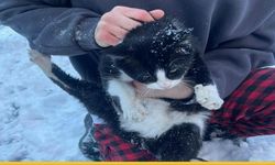 Batman Belediyesi, Can Dostları Karlar Altında Yalnız Bırakmadı