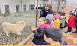 Batman'da Kursiyer Annelerin Çocukları, Bölgenin En Büyük Hayvan Merkezinde Eğlendi