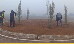 Batman’ın Dev Eğitim Kompleksi Yeşilleniyor: Sürücü Akademisi’nde Yeni Dönem