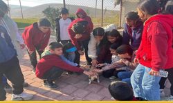 Batman’ın Dev Tesisinde Sevgi Dolu Ders: Öğrenciler Patili Dostlarla Tanıştı