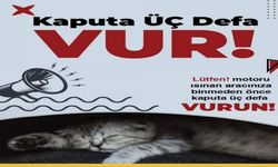 Belediyeden Hayati Uyarı: Motorlara Sığınan Can Dostlarımıza Dikkat!