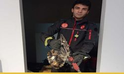 İtfaiyeden Çok Yönlü Kurtarma: Batman’da Yangın Değil, Canlılar Gündemde