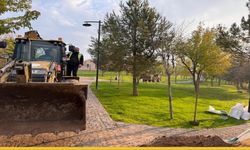 Yaşar Kemal Parkı Göz Açıp Kapayıncaya Kadar Yeşil Oldu: Çimler Bitti Sayılır!