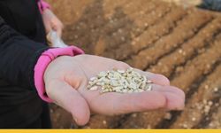 Batman Üniversitesi Kuraklığa Meydan Okuyor