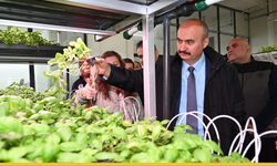 Vali Canalp'ten Topraksız Tarıma Yakın Takip: Sera Kentler Projesi Büyüyor