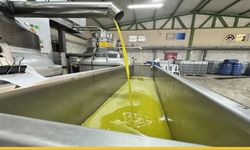 TKDK Desteğiyle Yöresel Kalkınma: Hataylı Muhtar, 10 Milyonluk Yatırımla Köyüne Fabrika Kurdu