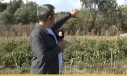 A Haber Canlı Yayınında Şok Eden Keşif: Çiftçi Su Yerine Gaz Buldu, TPAO Numune Aldı
