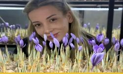 Kapalı Ortam Devrimi: Gercüşlü Safran Çiftçileri İçin Yeni Yol Haritası Mı? Gramı 700 TL Olan Üründe Yüksek Kâr Sırrı