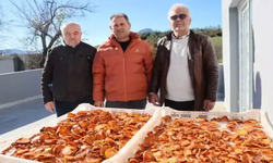 Kozan’ın "Cennet" Meyvesi Almanya Yolcusu: Köyde Kuruldu, Dünyaya Açıldı