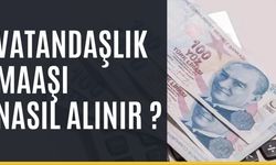 Vatandaşlık Maaşına Nasıl Başvurabilirim?