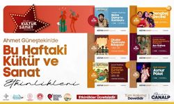 Batman’da Sanat Dolu Bir Hafta: Tiyatrodan Konsere Ücretsiz Etkinlik Şöleni