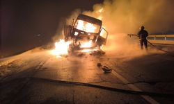 Nusaybin'de Korkutan Kaza: İki Tır Çarpıştı, Bir Araç Yandı