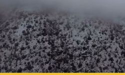 Sason Beyaz Gelinliğini Giydi...