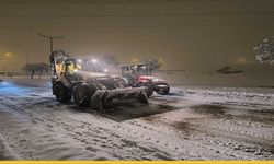 Batman Belediyesi Beyaz Esaretle Mücadelede: Yeni Yılın İlk Sabahı Mesai Sahada Başladı