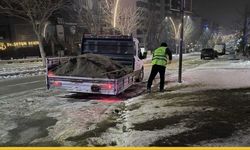 Batman Belediyesi Sokak Sokak Geziyor: Don Ve Buzlanmaya Karşı Gece Mesaisi