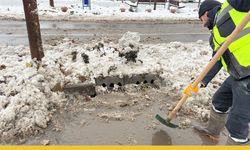 Batman Belediyesi'nden Kar Mesaisi: Ekipler 3 Vardiya Sahada