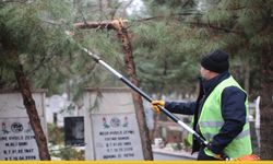 Batman Sokaklarında Mevsimlik Bakım Seferberliği