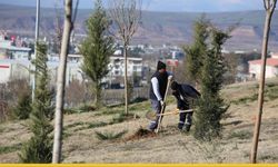 Esentepe’nin Çehresi Değişiyor: Batman’da Yeşil Seferberlik