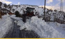 Batman Beyaz Esarete Teslim: Dağlarda Yaşam Savaşı, Şehirde Seferberlik