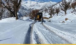 Batman ve Çevre İllerde Ulaşım Kar Altında: 1106 Noktada Hayat Durdu!