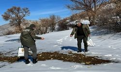 Gercüş'te Kuşlar İçin Doğaya Yem Bırakıldı