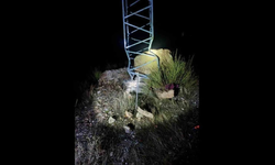 Gercüş’te Mucizevi Kurtuluş: Dev Kaya Elektrik Direğine Takıldı