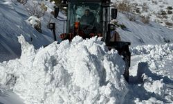 Gercüş'te Yolların Açılması İçin Karla Mücadele Çalışmaları Sürüyor