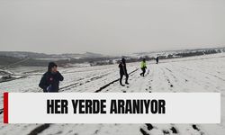 Sis ve Kar Engel Olamadı: 385 Personel Diyarbakır'da O Kadını Arıyor