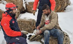Karlı Dağların Mağarasında Umut Operasyonu: Mardin'de Çoban ve Sürüsü İçin Zamana Karşı Yarış