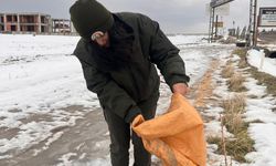 Kuşlar Aç Kalmasın Diye Batman'da Doğaya Yem Bırakıldı