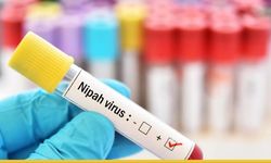 Dünyayı Tedirgin Eden Nipah Virüsü Alarmı: Yarasadan İnsana Ölümcül Köprü