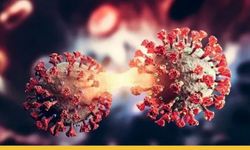 Uzmanlar Tarih Verdi: "Karma Virüs" Dalgası Ocak Ayında Zirve Yapacak!