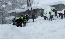 Sason’da Beyaz Felaket Ağılı Yuttu: Besicinin Tüm Emeği Saniyeler İçinde Karlara Gömüldü!
