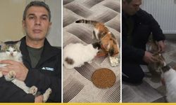 Sason’da Sıcak Bir Dayanışma: Belediye Başkanı Apartman Dairesini Patili Dostlarına Açtı