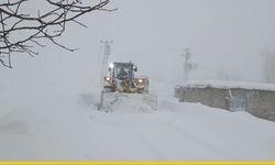 Karlı Dağların Arasında Mahsur Kalan Köyler: Siirt’te Ulaşım Tamamen Durma Noktasında