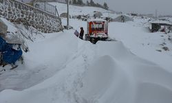 Şırnak'ta Karlar Arasında Zamana Karşı Yarış: Havvanur İçin Seferberlik