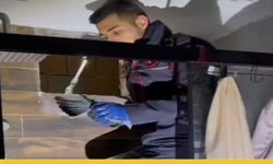 Batman'da Havalandırma Boşluğuna Düşen Güvercin Kurtarıldı