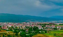 Bingöl'den Ne Alınır?