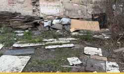 Bursa Sokaklarında Yankılanan Çaresiz Çığlık: Boş Arazideki Gizemli Sesin Sahibi Herkesi Şaşırttı