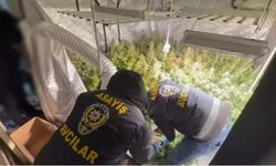 İstanbul Avcılar’da Terk Edilmiş Binaya Gece Yarısı Operasyonu: Gizli Düzenekler Bir Bir Söküldü