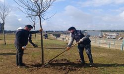 Beton Değil Doğa Kazanıyor: Batman’ın Yarınları İçin 4.650 Fidanla Dev Yeşil Atak