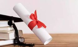 Diplomadan Önce Tecrübe Dönemi: 7 İlde Üniversite Stajlarında Devrim Gibi Karar!