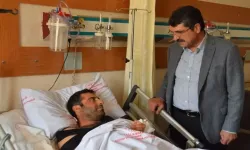 Batman Sağlıkta Büyüyor: 19 Yeni Hekim Kadrosu Müjdesi