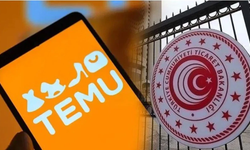 Temu'nun Türkiye Formülü: WhaleCo İle Gümrük Duvarı Aşılıyor