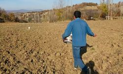 Hasankeyf’te Makinelerin Giremediği Yamaçlarda Çiftçi İşi Ele Aldı