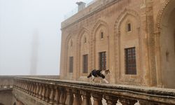 Mardin’de Görüş Mesafesi 30 Metreye Düştü: Tarihi Kent Sis Altında Kaldı