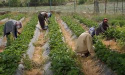 Sason’da Çiftçi ve Muhtarlara Destek Eğitimi