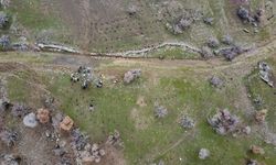 Sason'da Ağaçlandırma Etkinliği Düzenledi